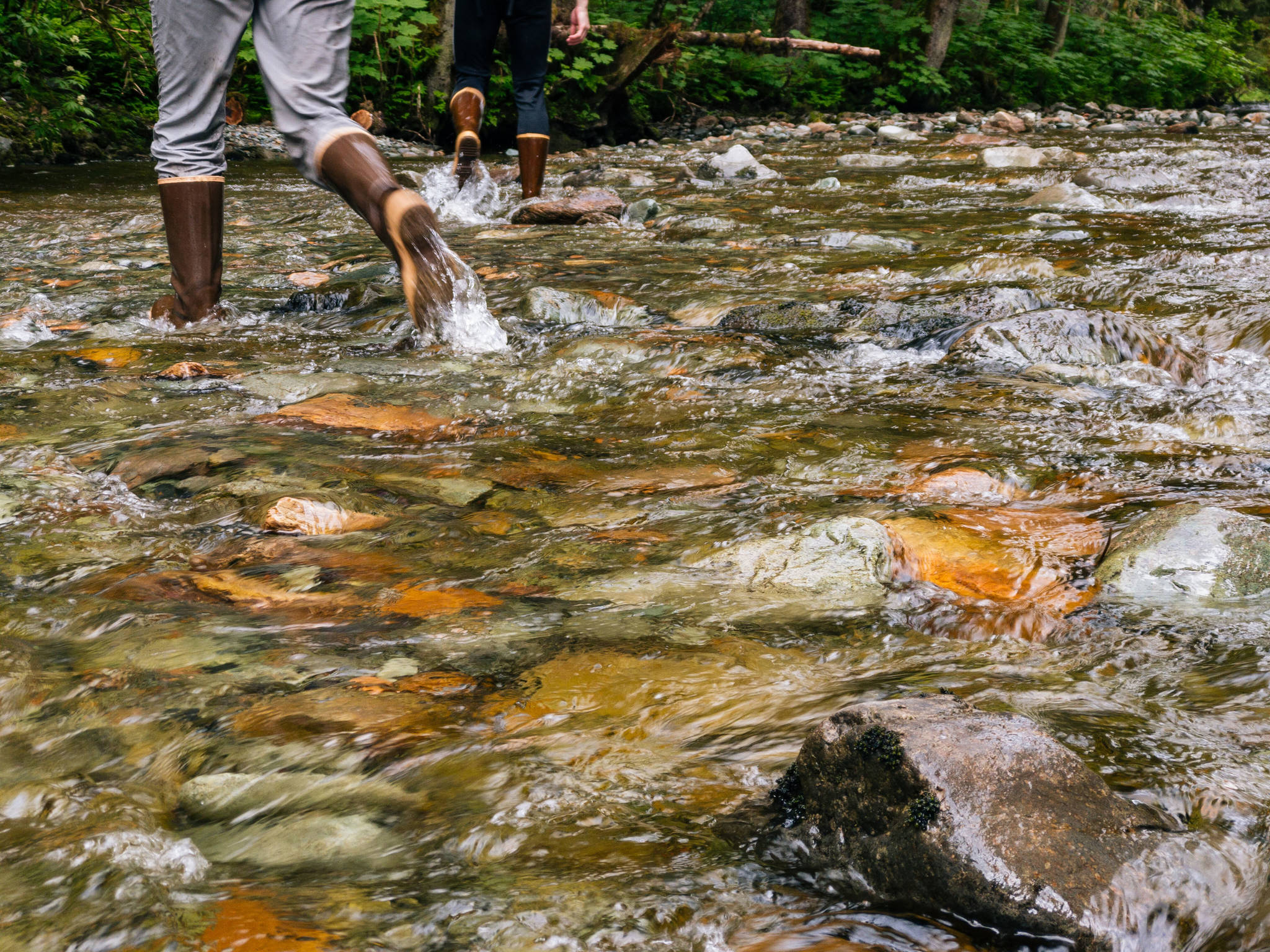 Shallow water rushes by as we cross the creek. (Photo by Gabe Donohoe)