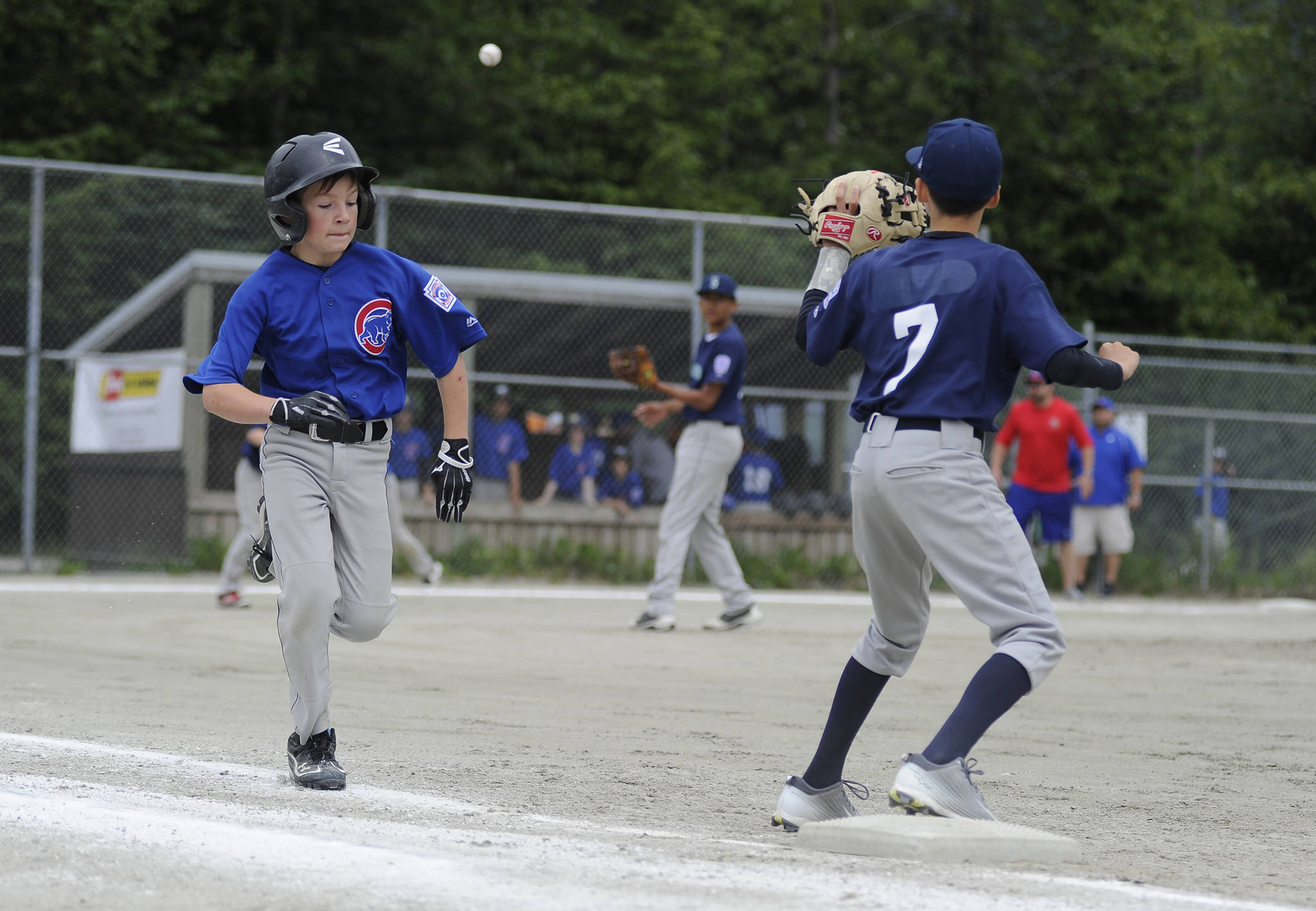 Cubs player Joey Ramseth runs toward first base after bunting the ball to score Ezra Vidal in the first inning of the Gastineau Channel Little League Major Division Championship game on Saturday at Miller Field. Ramseth was safe on the play. (Nolin Ainsworth | Juneau Empire)
