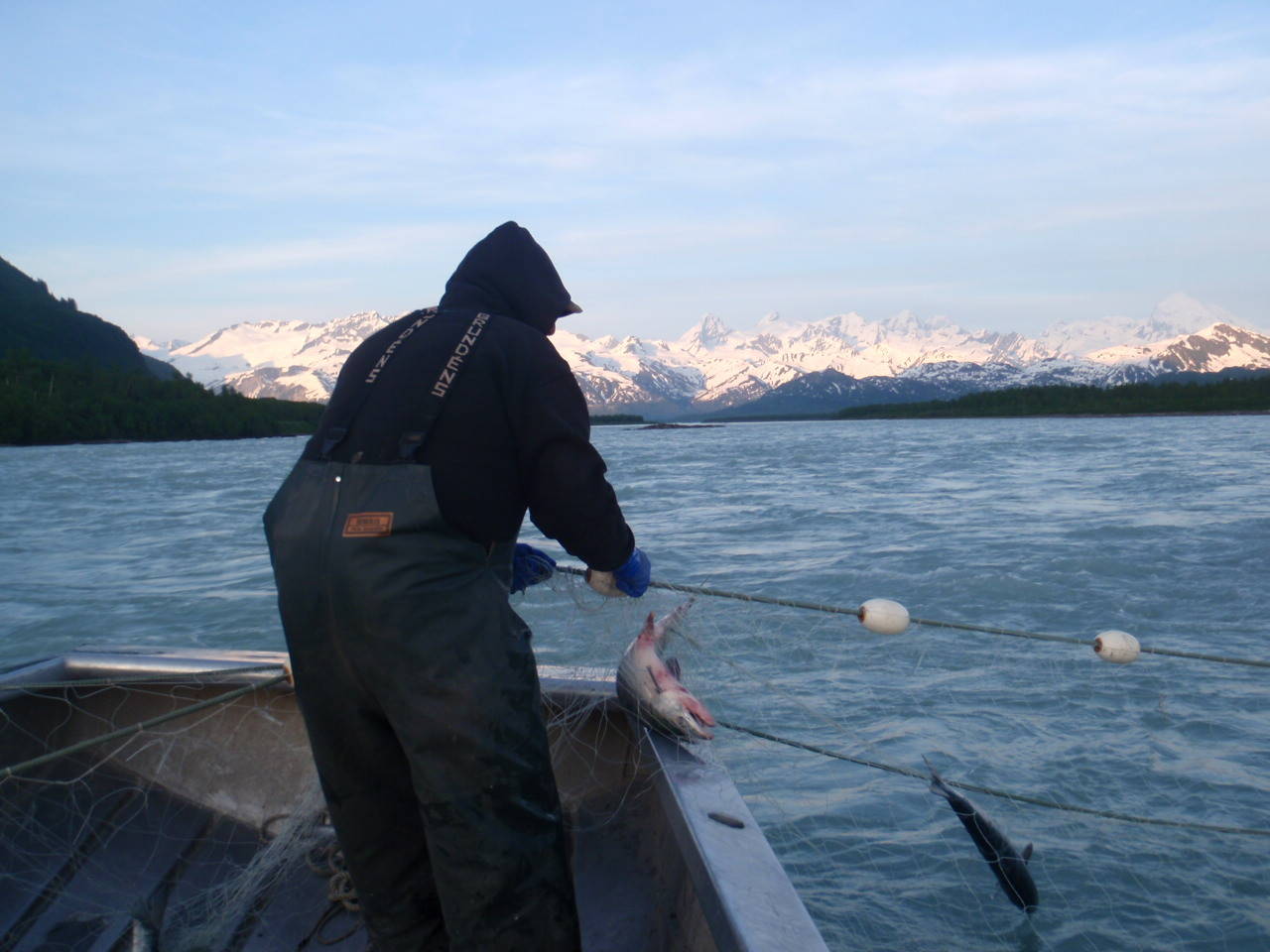 Fisherman Pat Pellett set gillnet fishing on the Alsek River. (Photo courtesy Nicole Zeiser)