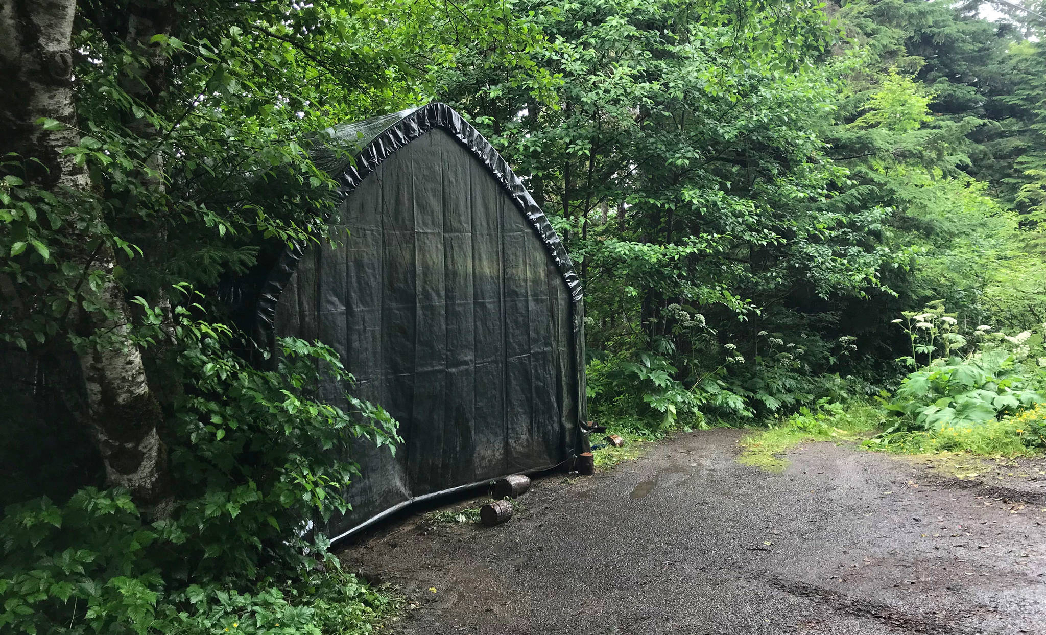 A soft-sided carport sits in the 9100 block of Cohen Drive on Wednesday, July 11, 2018. Law enforcement officials say pet carcasses were kept in this carport, and bears had begun to eat the carcasses. (Alex McCarthy | Juneau Empire)