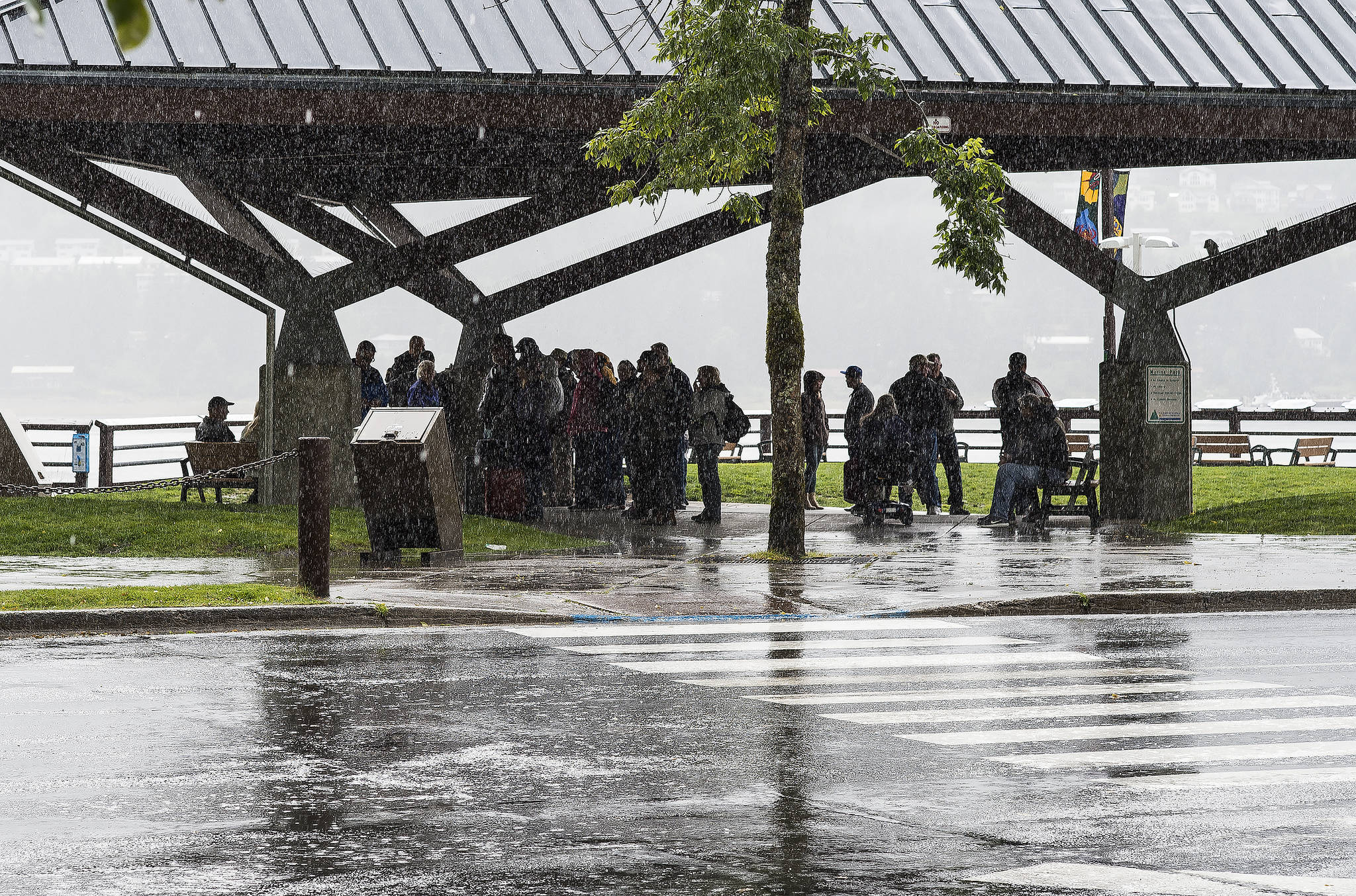 Tourists take shelter at Marine Park during a heavy rain shower on Aug. 14, 2017. (Michael Penn | Juneau Empire File)