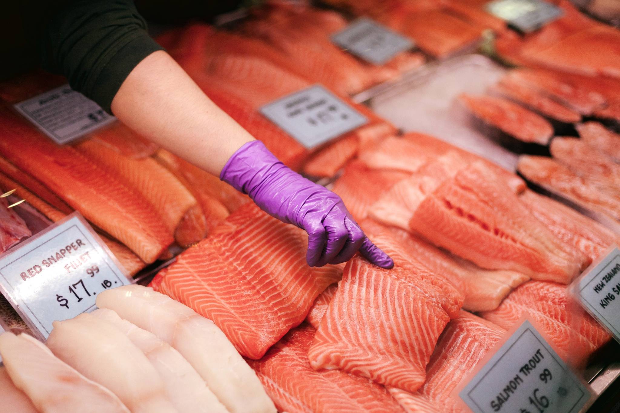 Fish Factor: Salmon fisheries lagging