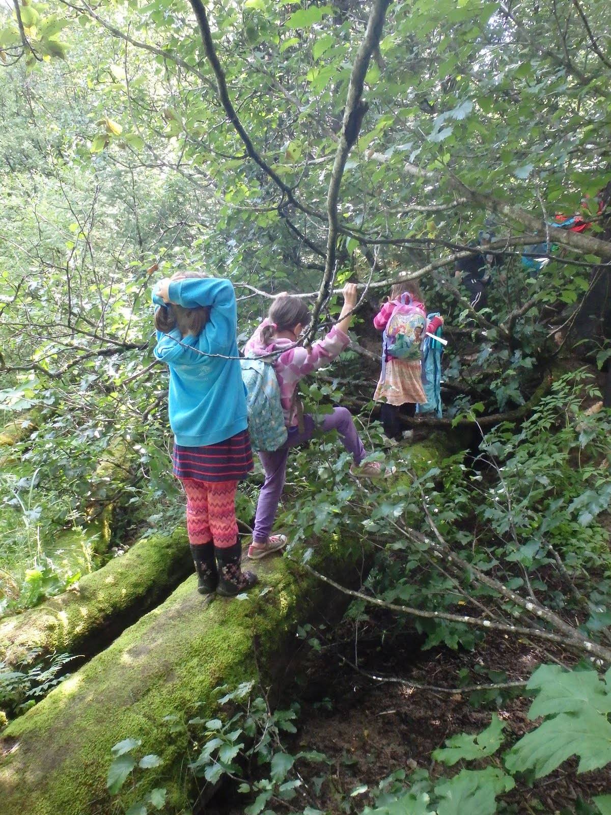 <span class="neFMT neFMT_PhotoCredit">Discovery Southeast staff photo</span>                                Above and at right, <p> Outdoor Explorer Campers participate in a Discovery Southeast summer camp.