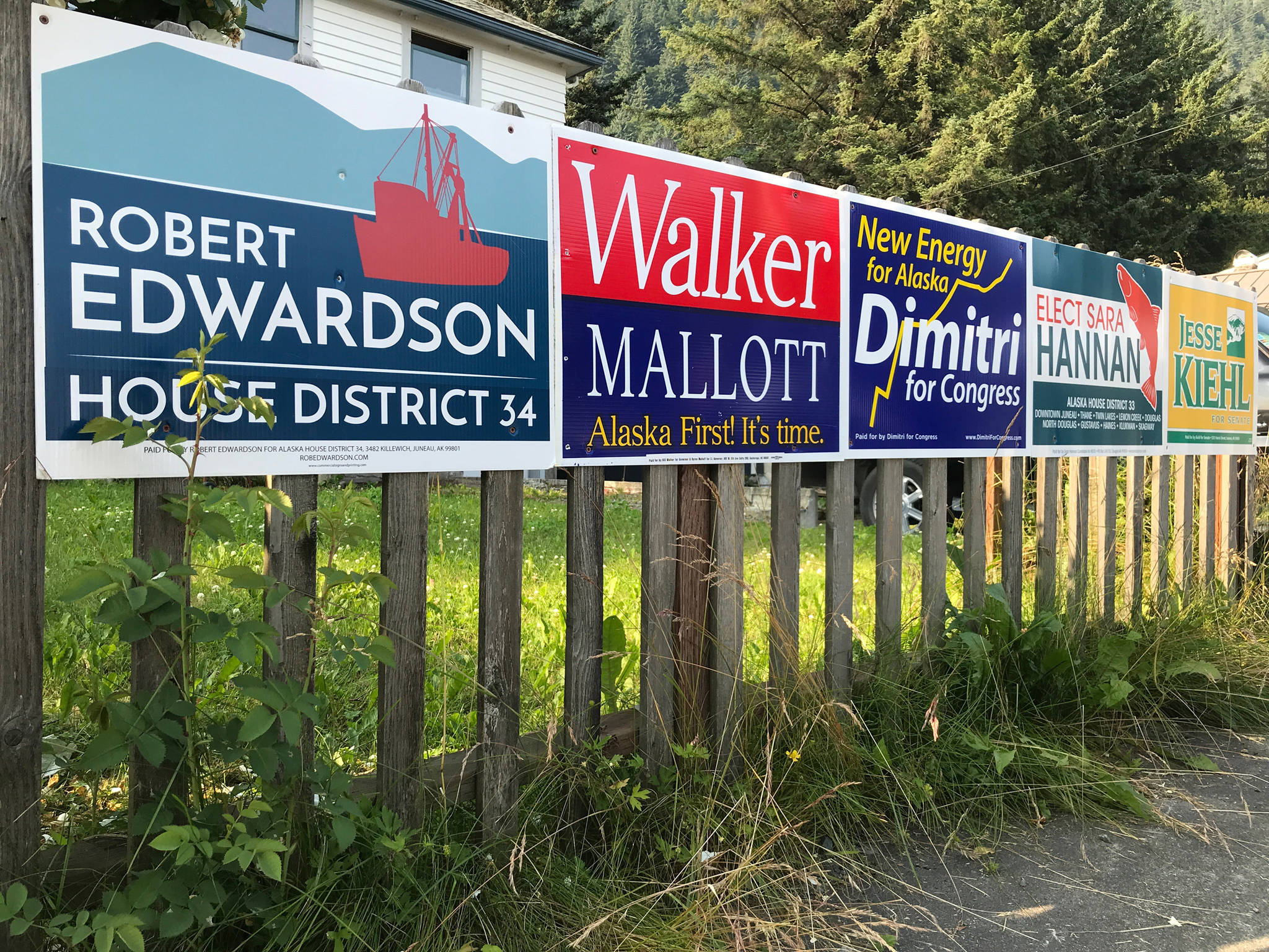 Election signs at the corner of 12th and C streets on Tuesday, July 24, 2018. (Michael Penn | Juneau Empire)