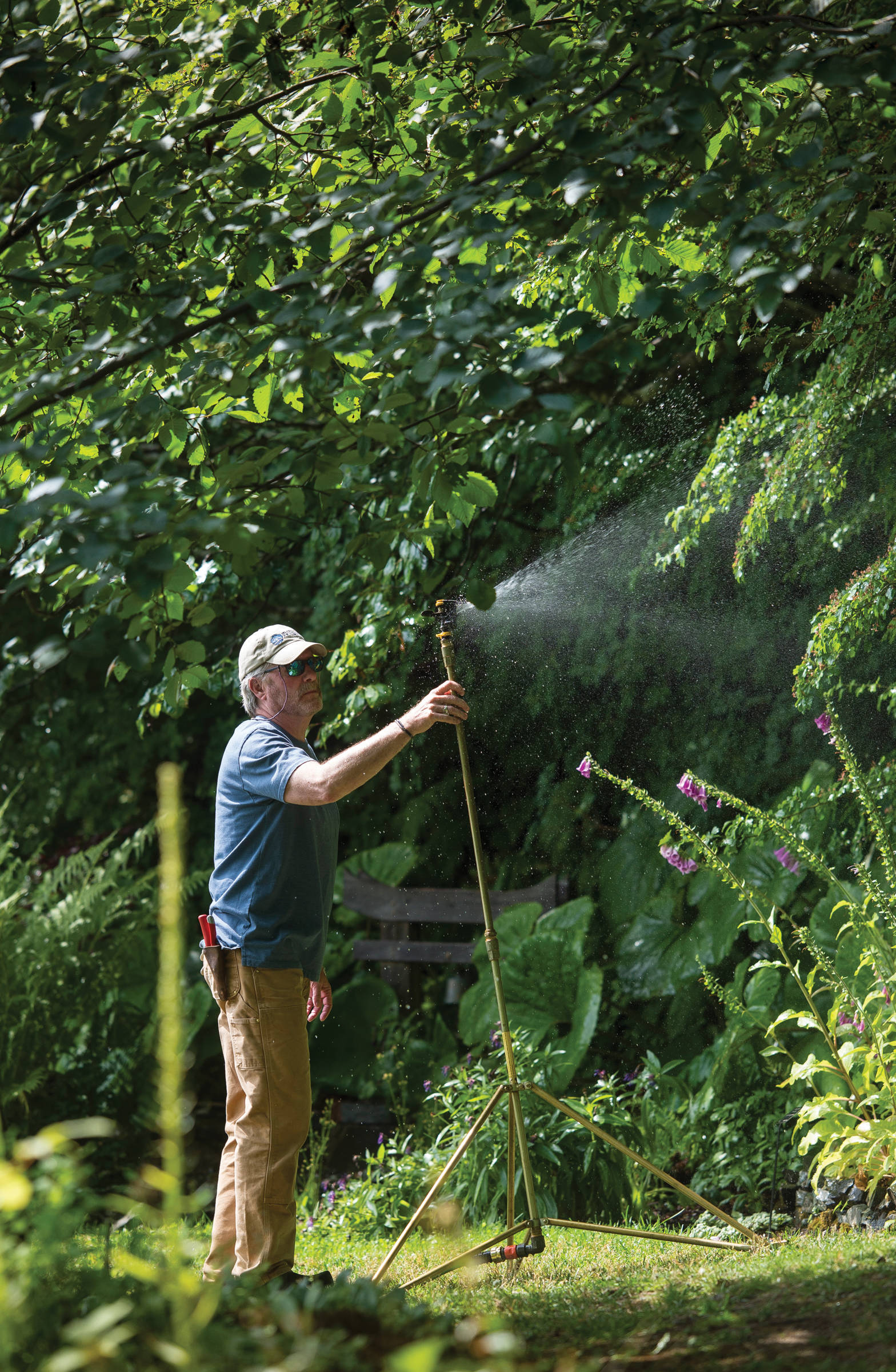 Merrill Jensen, Director & Horticulturist for the Jensen-Olson Arboretum, moves a watering hose on Wednesday, July 25, 2018. During dry spells Jensen has to move the watering hose every two to four hours around the clock. It takes four days to water the entire garden. (Michael Penn | Juneau Empire)