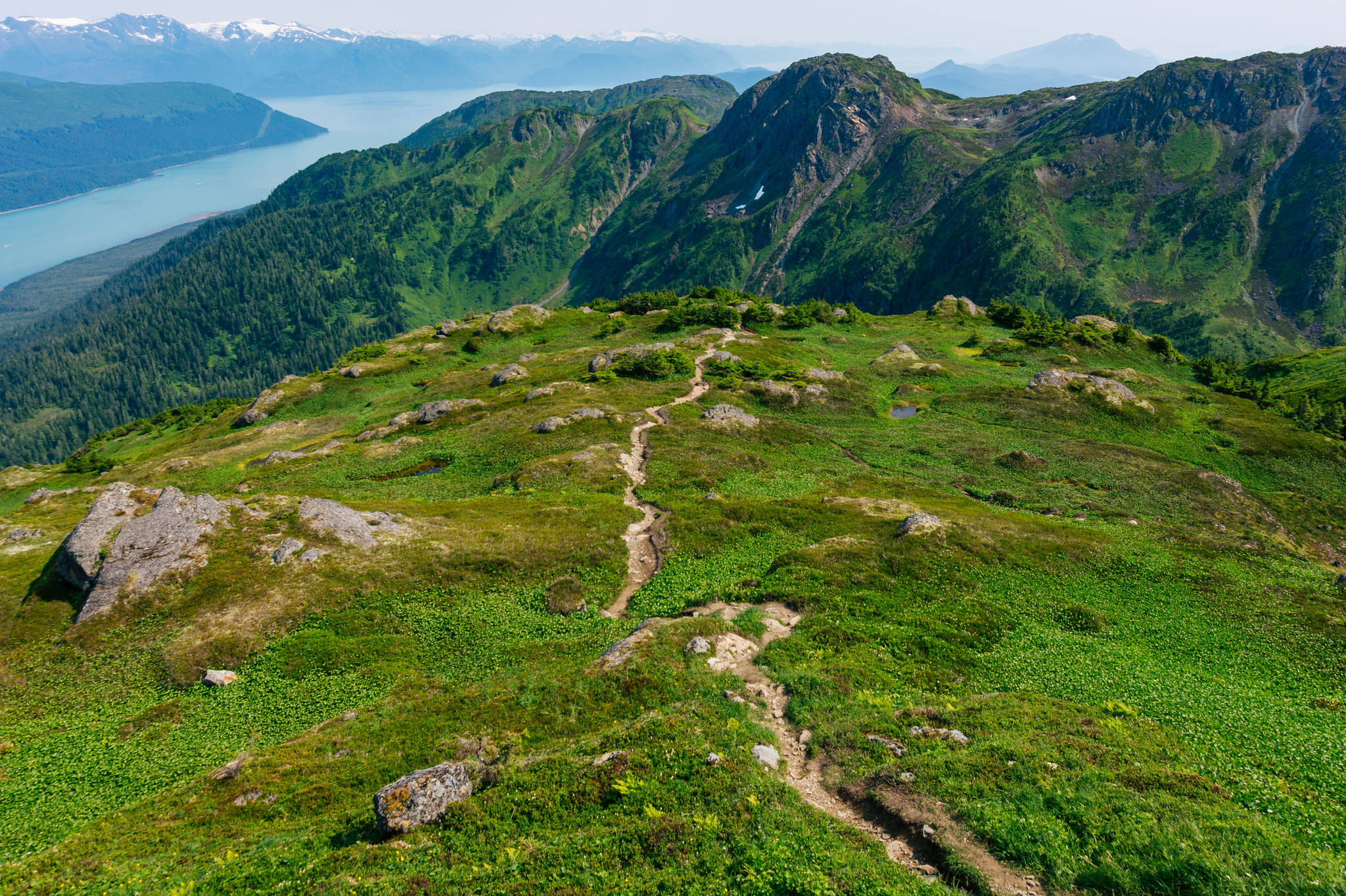 The alpine section of the trail. (Photo by Gabriel Donohoe)
