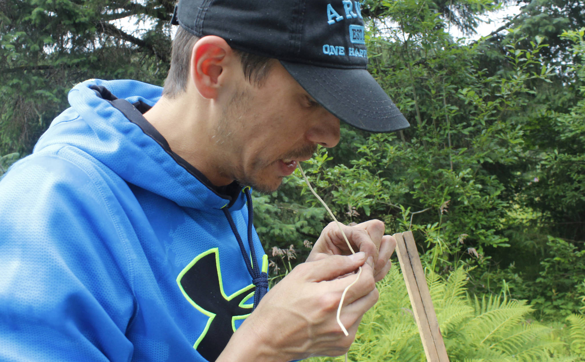 Hans Chester of the Sealaska Heritage Institute splits a spruce root in order to get it down to the right size for weaving a basket at the Eagle Valley Center on Saturday, July 28, 2018. SHI is collaborating with a travel company to make a video about spruce root weaving techniques. (Alex McCarthy | Juneau Empire)