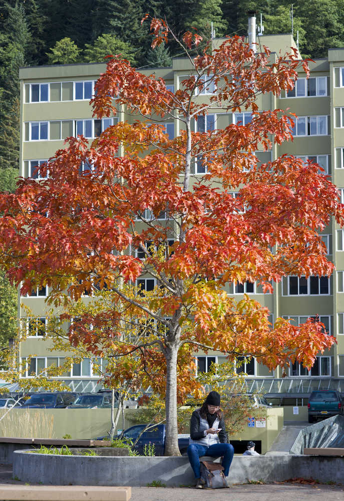 Christine Carpenter takes a moment to check her messages under the fall colors of a oak tree at Marine Park on Wednesday, the official first day of fall.