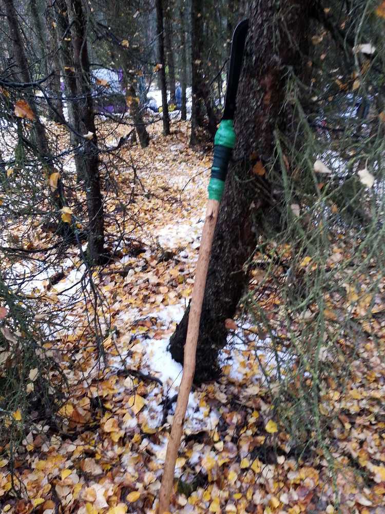This photo provided by the Alaska Department of Fish and Game shows a homemade spear that a homeless man used to kill a black bear cub that was sniffing around for food in an illegal camp site in Anchorage on Friday. The homeless man received a $310 citation for negligent feeding of wildlife for leaving food and garbage out that attracted the bear.
