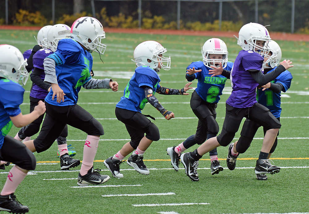 Seahawks defenders chase a Vikings runner during Saturday's Juneau Youth Football League Cub Division championship game. The Vikings won over the top seeded Seahawks in overtime.