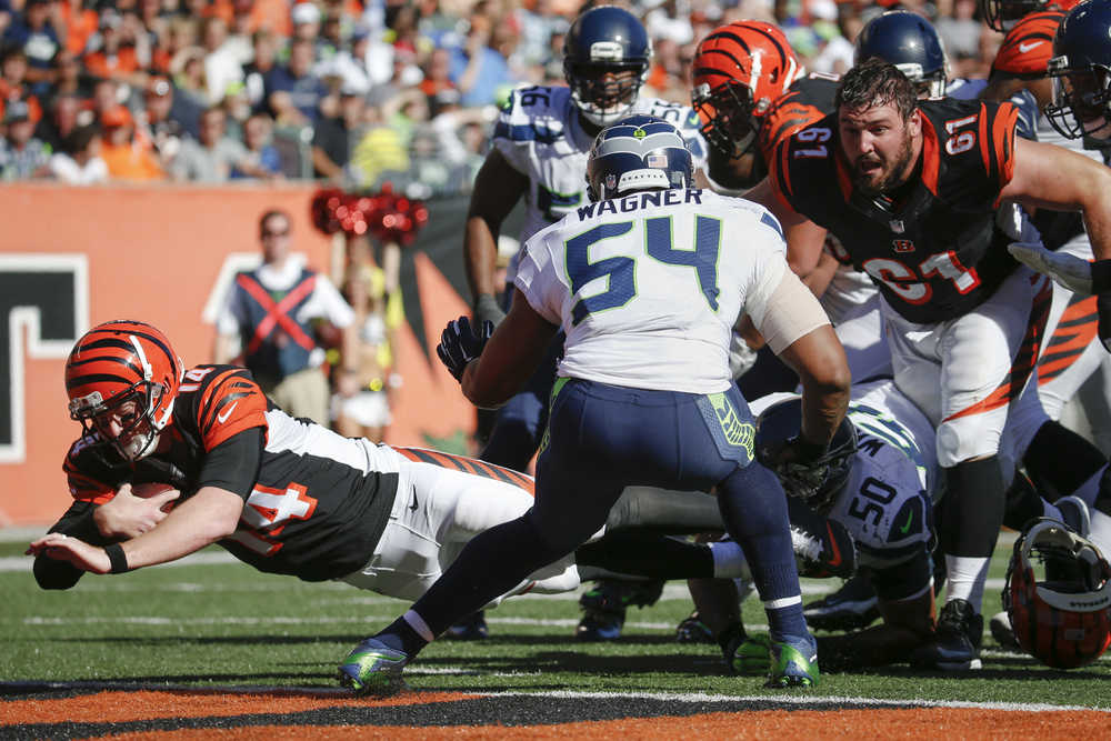 Cincinnati Bengals quarterback Andy Dalton (14) scores a touchdown in the second half of an NFL football game against the Seattle Seahawks, Sunday, Oct. 11, 2015, in Cincinnati. The Bengals won 27-24. (AP Photo/Frank Victores)