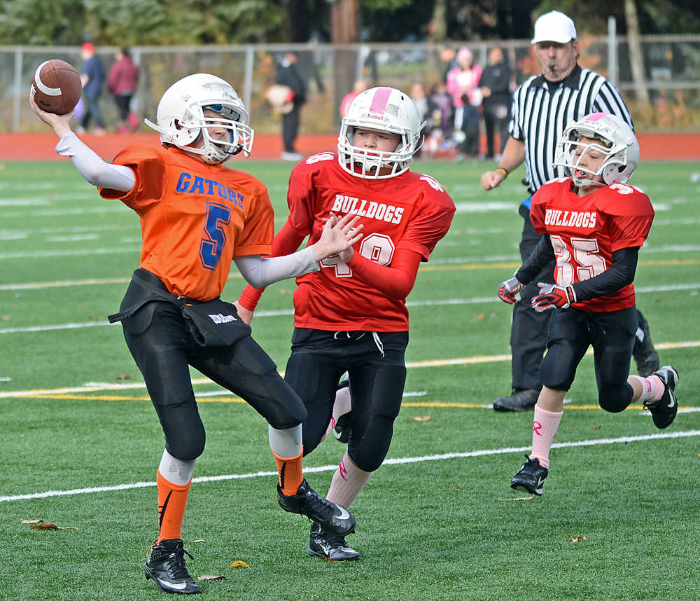 Gators quarterback Noah Chambers (5) throws under pressure from Bulldogs defenders Jack Gregson (48) and Caleb Emerson (35) during the Juneau Youth Football League Junior Division Championship.
