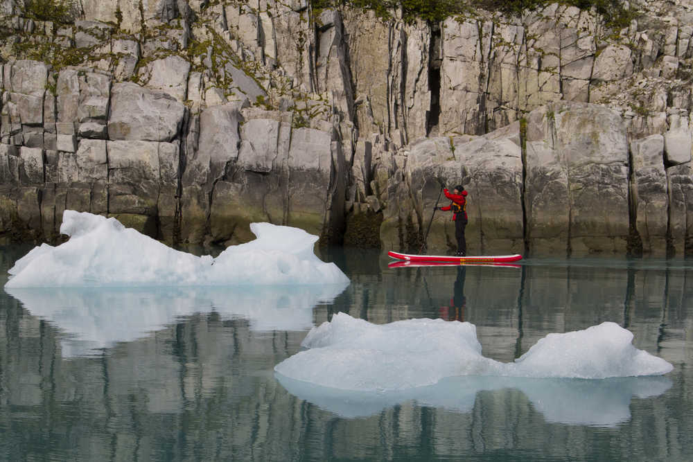 Michelle Eshpeter stand up paddleboards around icebergs past the rocky fjord wall of the McBride inlet in Glacier Bay National Park.