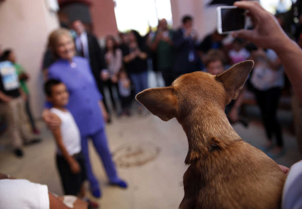 A man waits with his dog to have a picture taken with Democratic presidential candidate Hillary Rodham Clinton Wednesday, Oct. 14, 2015, in North Las Vegas, Nev. Clinton made a stop for ice cream with her staff and posed for pictures with people. (AP Photo/John Locher)