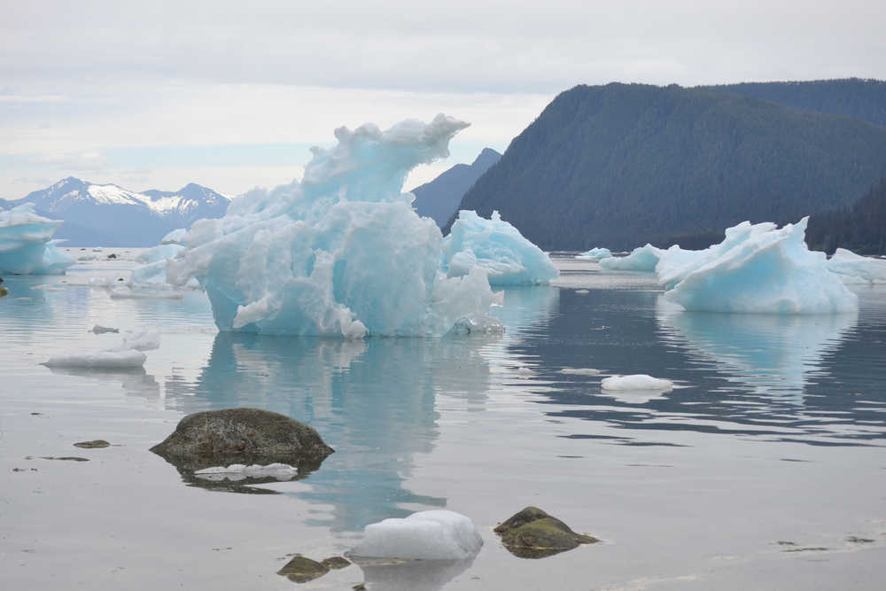 Icebergs beached neared Frederick Sound.