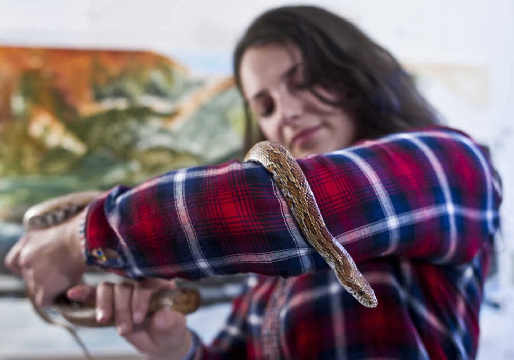 Monica Daugherty holds her 10-year-old female corn snake named Velvet on Thursday. The snake, which she has owned since August, escaped her painting studio on the second floor of the Emporium Mall recently and was found in the office of the Gold Town Nickelodeon.