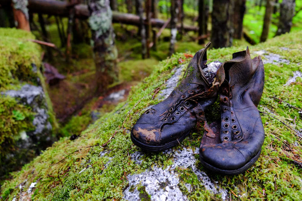Found shoes at the Mendenhall Glacier in Juneau. One of the book's five sections, into which this photo fits, is "relics."