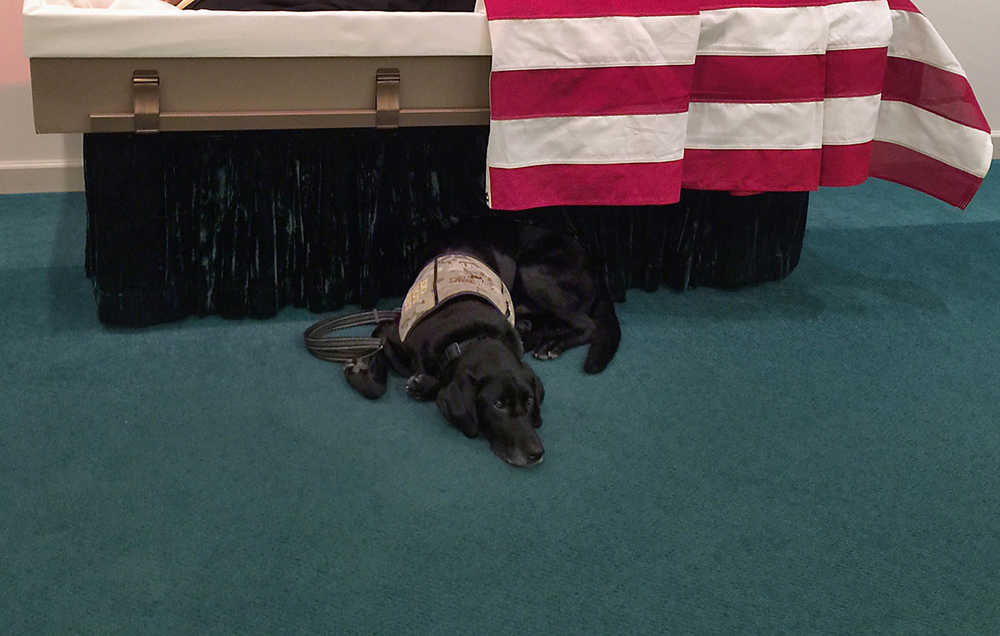 In this Aug. 22 photo, Honor lies by the casket of Wade Baker at the Wells Funeral Home in Waynesville, N.C. When he saw his master lying in the flag-draped casket, the Labrador pushed through the clutch of weeping family members, reared up, placed his paws on the edge and tried to climb in. Unable to comfort Baker, he curled up underneath.