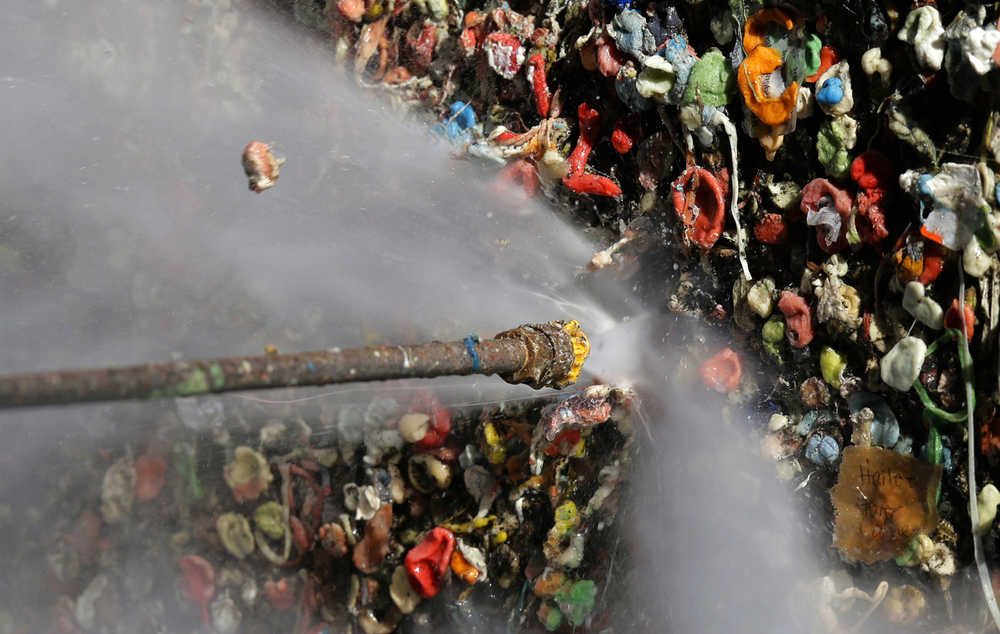 A worker uses a high-temperature pressure washer to clean layers of gum from Seattle's famous "gum wall" at Pike Place Market Tuesday.