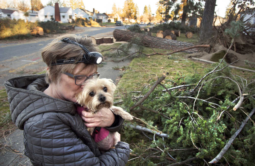 In this Nov. 20, 2015 photo, Shelly Aase embraces her dog Mattie Jo as they view damage in north Spokane, Wash., after storms left many without power. Aase is wearing a head lamp to see inside her house.  (Dan Pelle/The Spokesman-Review, via AP)