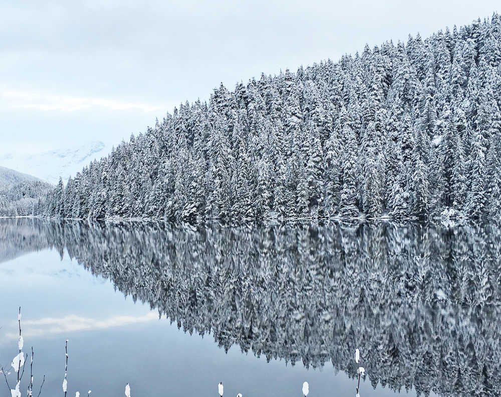 Trees, laden with fresh snow, reflect on the calm surface of Auke Lake in mid-November.