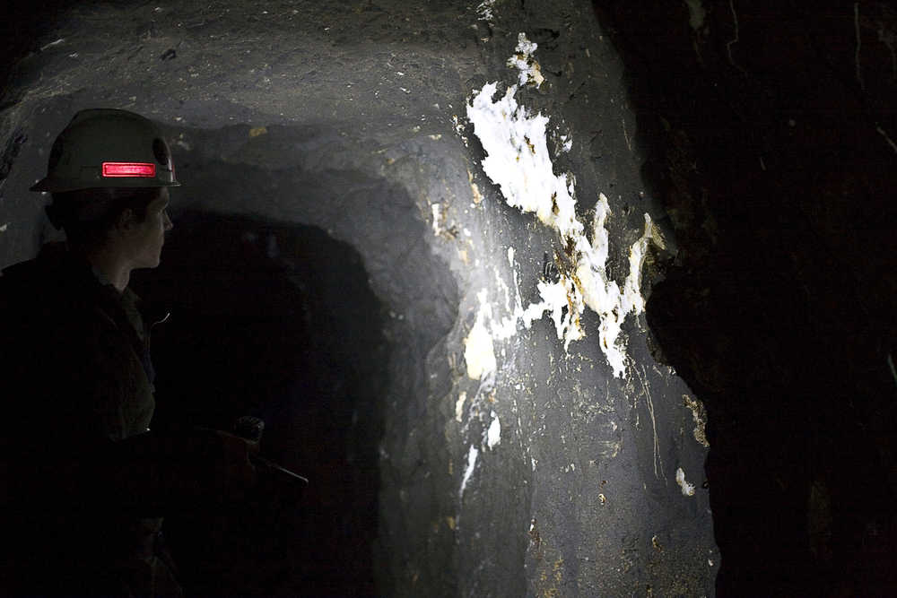 Illuminated by the beam of a flashlight, a quartz vein sits in stark contrast to the dark surrounding rock in an abandoned mine adit in 2009.