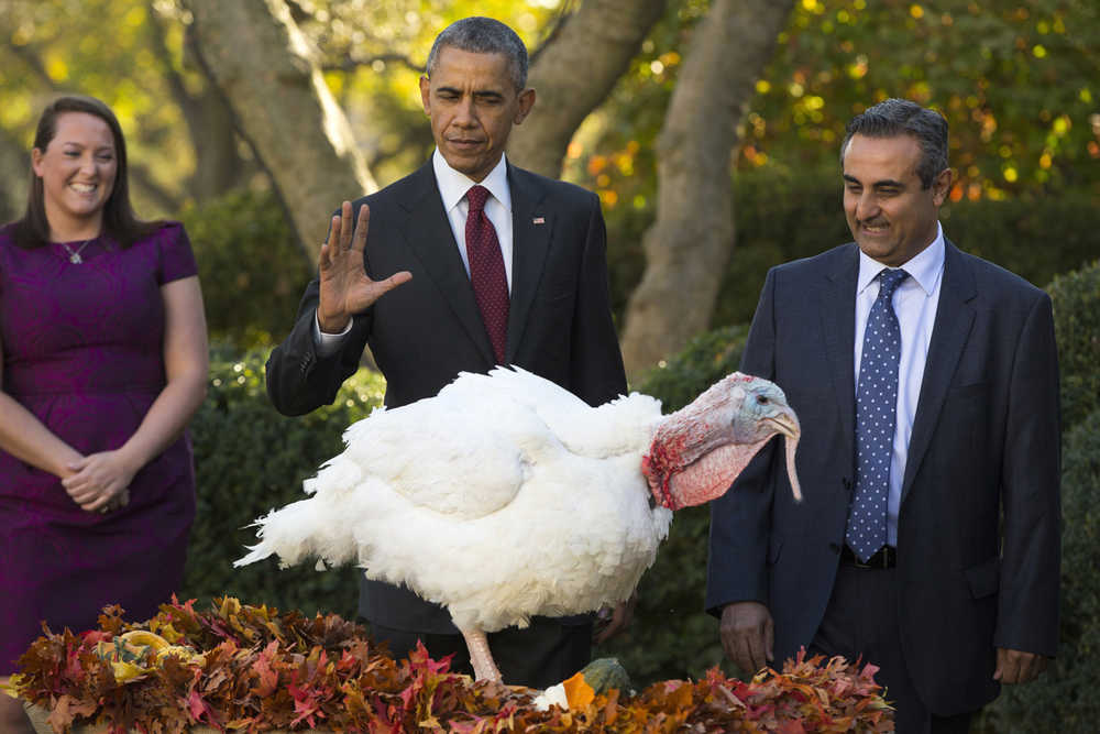National Turkey Federation Chairman Jihad Douglas watches at right as President Barack Obama pardons National Thanksgiving Turkey Abe during a ceremony in the Rose Garden of the White House on Wednesday.