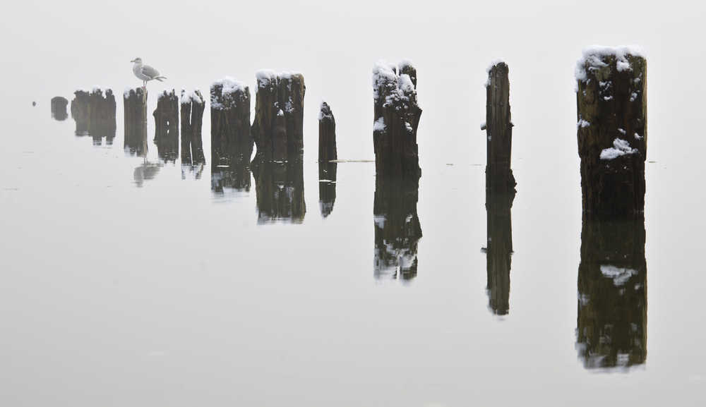 Old pilings south of Sandy Beach are reflected in the calm waters of Gastineau Channel on Wednesday.
