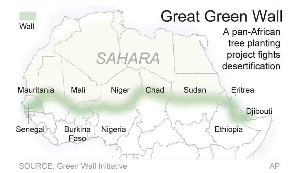 Wall of trees being planted across Africa to halt desert