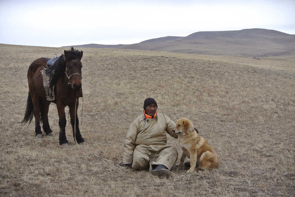 In this photo taken Nov. 13, Chulunjav Bayarsaikhan poses for photos with Hassar, a shaggy, 11-month-old bankhar puppy, in Tuv Province, Mongolia.