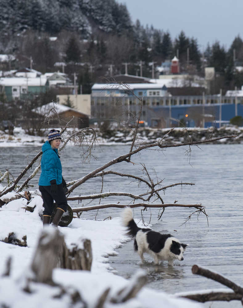 Donna Pierce watches her dog, Zoey, as she retrieves a stick in the high tide at Sandy Beach Wednesday.
