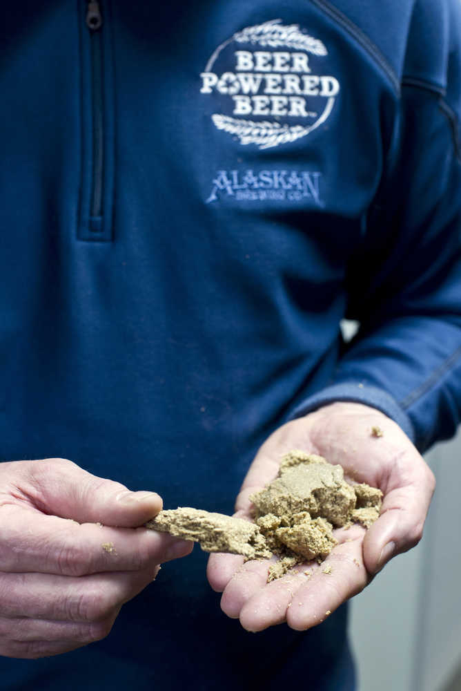 Geoff Larson, co-founder of the Alaskan Brewing Company, shows the spent hops after processing in their mash press during a tour on Thursday. The spent hops is forwarded to a furnace to produce some of the energy required to produce their beer.