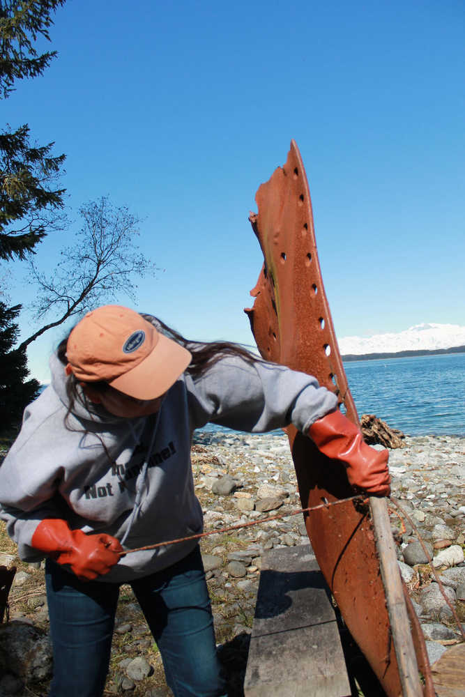 Artist Jennie Wheeler, a spruce root weaver and skin sewer out of Yakutat, pulls spruce root through an eyna to scrape off the outer bark.