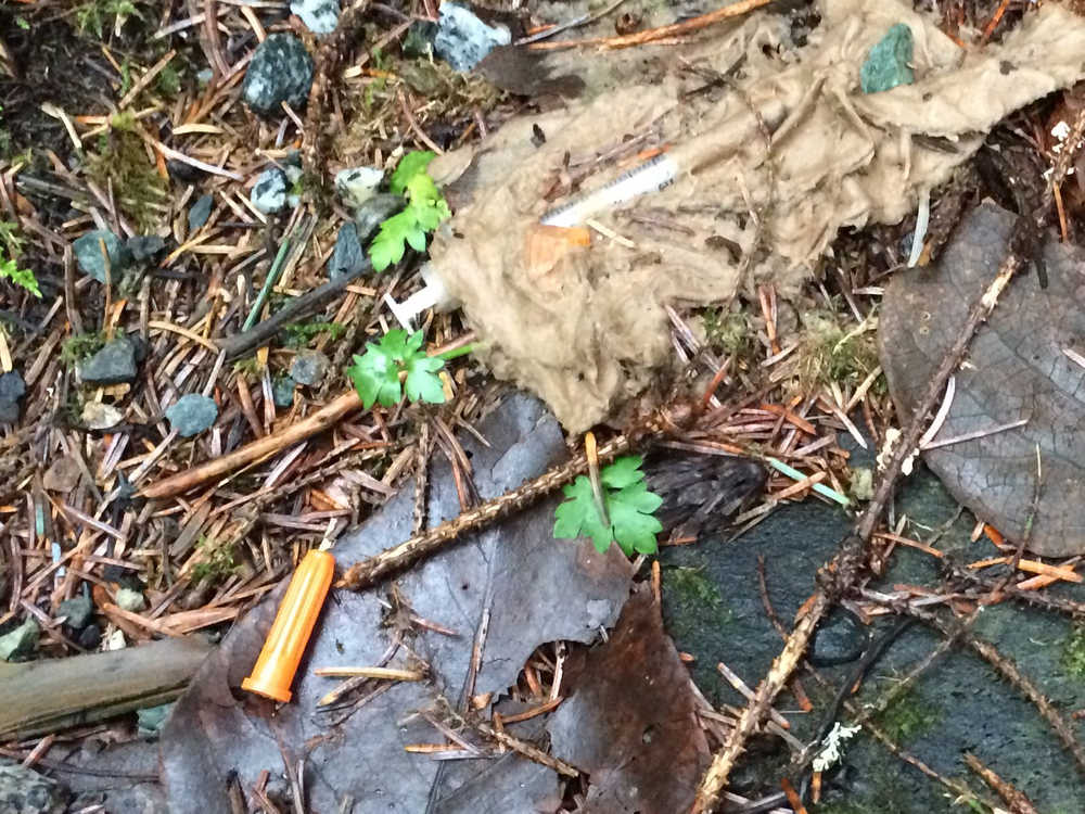 Dustin Stogner discovers a syringe near Dredge Lake Road Thursday afternoon as he walks around the area with his 2-year-old son. Stogner is just one of several Juneau residents to recently complain that syringes are popping up in public spaces.