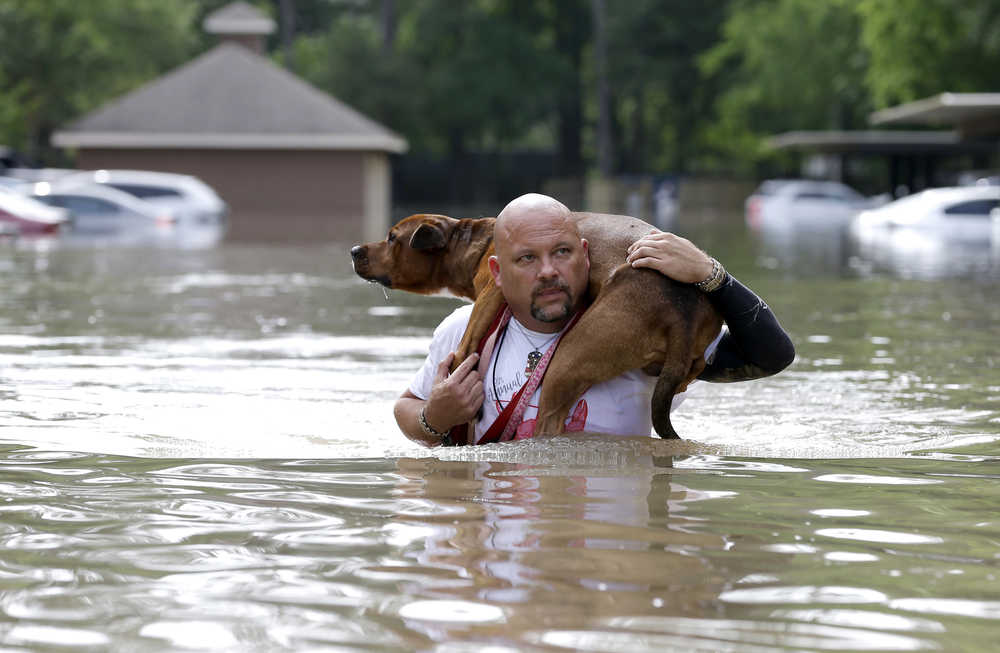 Louis Marquez carries his dog Dallas through floodwaters after rescuing the dog from his flooded apartment Tuesday, April 19, 2016, in Houston. Storms have dumped more than a foot of rain in the Houston area, flooding dozens of neighborhoods. (AP Photo/David J. Phillip)