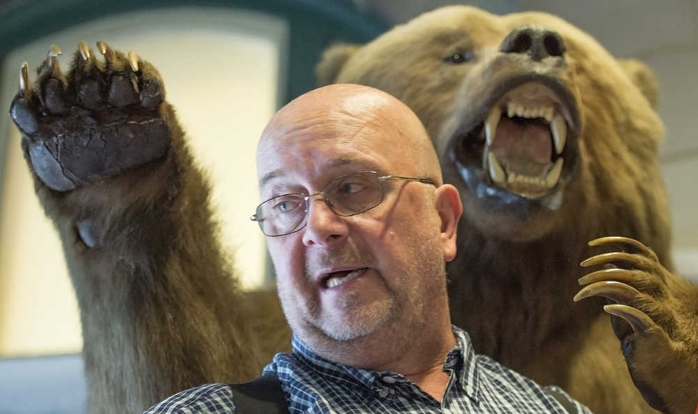 In this April 20, 2016 photo,taxidermist Bill Fulcher starts a cleaning and repair process on "Monroe," a Kodiak bear at the Monroe County History Center in Bloomington, Ind. The bear was shot in 1949 by Roy Schmalz on a hunting trip to Kodiak, Alaska and was on display at his sporting goods store until it closed in 1988. (David Snodgress/Bloomington Herald-Times via AP) MANDATORY CREDIT