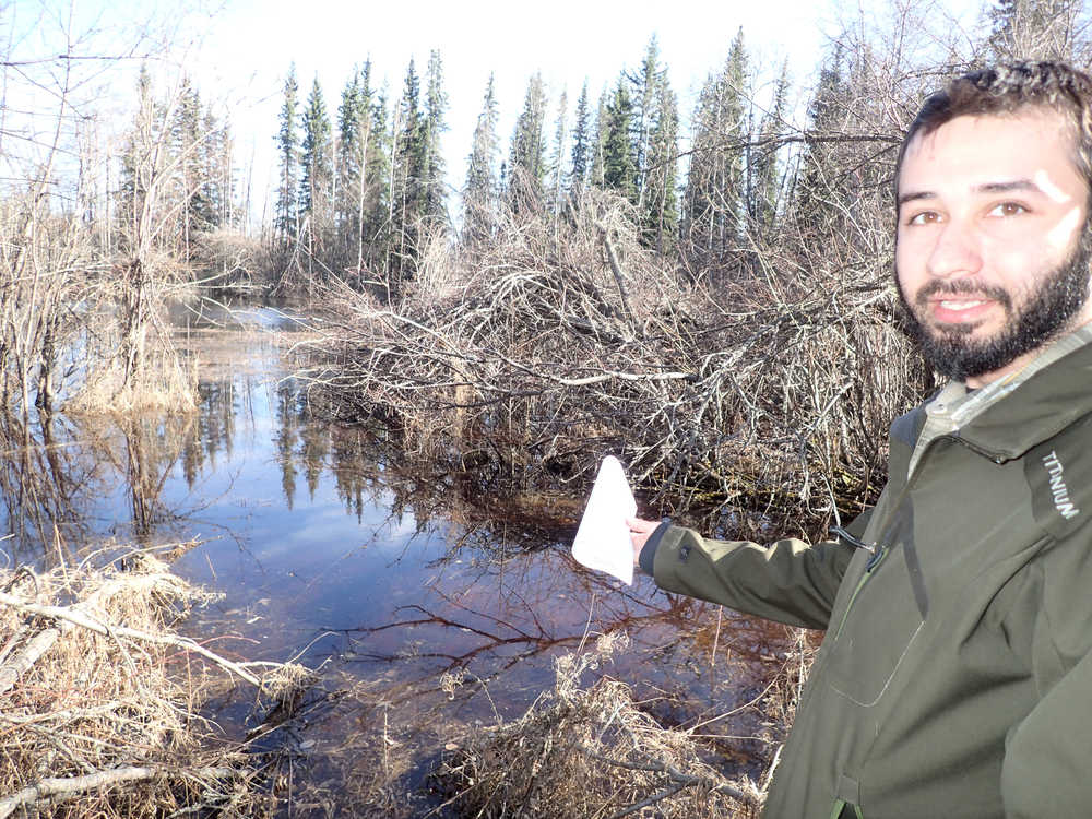Mark Spangler, a UAF graduate student, is shown at a pond where wood frogs are singing on the UAF campus.