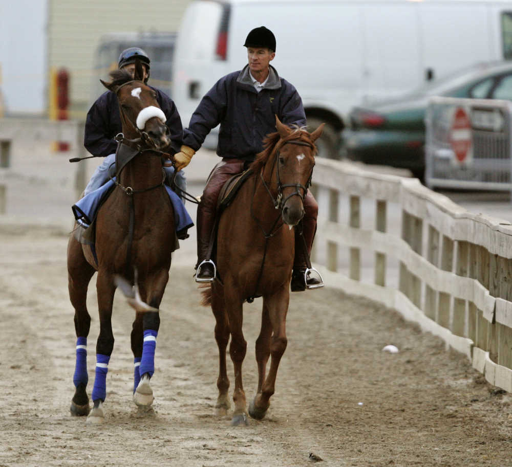 FILE- In this May 20, 2016, file photo, trainer Michael Matz, right, holds onto Kentucky Derby winner Barbaro as he cavorts off the track with assistant trainer Peter Brette aboard at Pimlico Race Course in Baltimore. A decade ago, Matz saddled the frisky Kentucky Derby winner with designs off pulling off an encore at Pimlico Race Course. Soon after emerging from the starting gate, Barbaro stumbled and broke his right hind leg. (AP Photo/Chris Gardner, File)