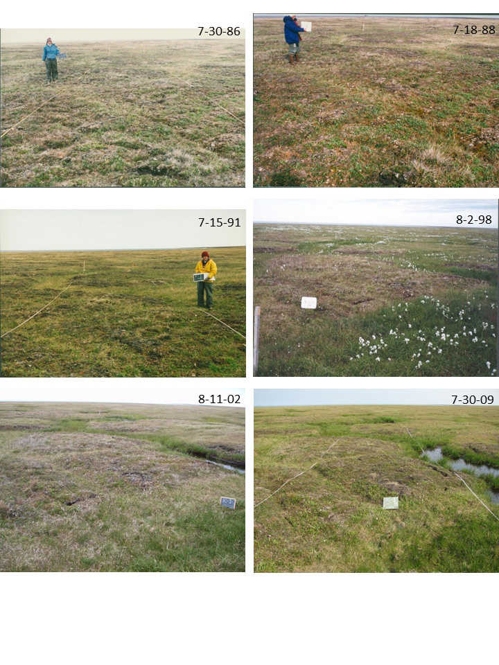 More than 20 years of changes in an undisturbed patch of tundra in northern Alaska, east of Kaktovik.