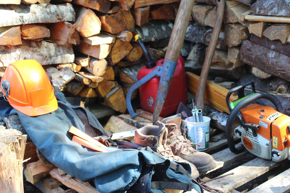 Here are the tools and safety gear Dick Callahan used to cut the wood you see in the background. Photo by Dick Callahan.