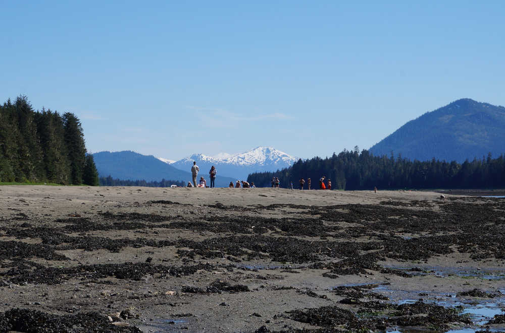 People celebrating Kupreanof's 40th birthday gather on Petersburg Creek sandbars. Photo by Chelsea Tremblay.