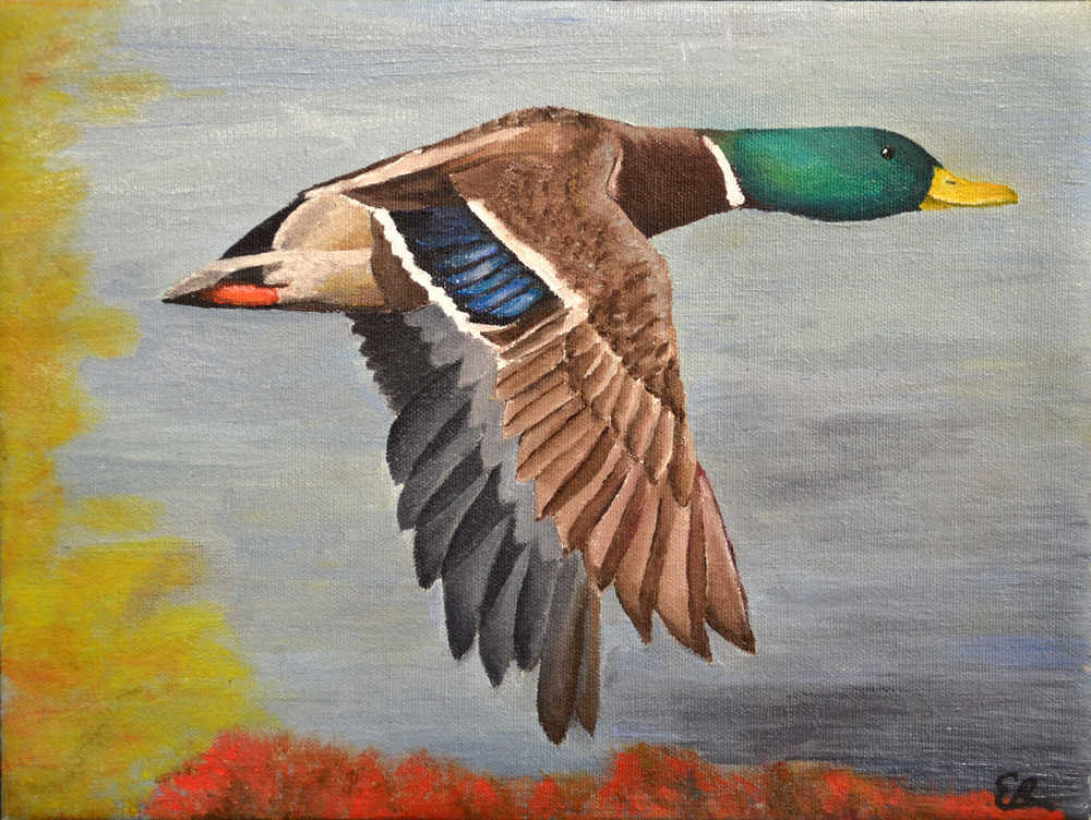 Twelfth grader Erin Buhler of TMHS got first place for Alaska in the National Jr. Duck Stamp competition.