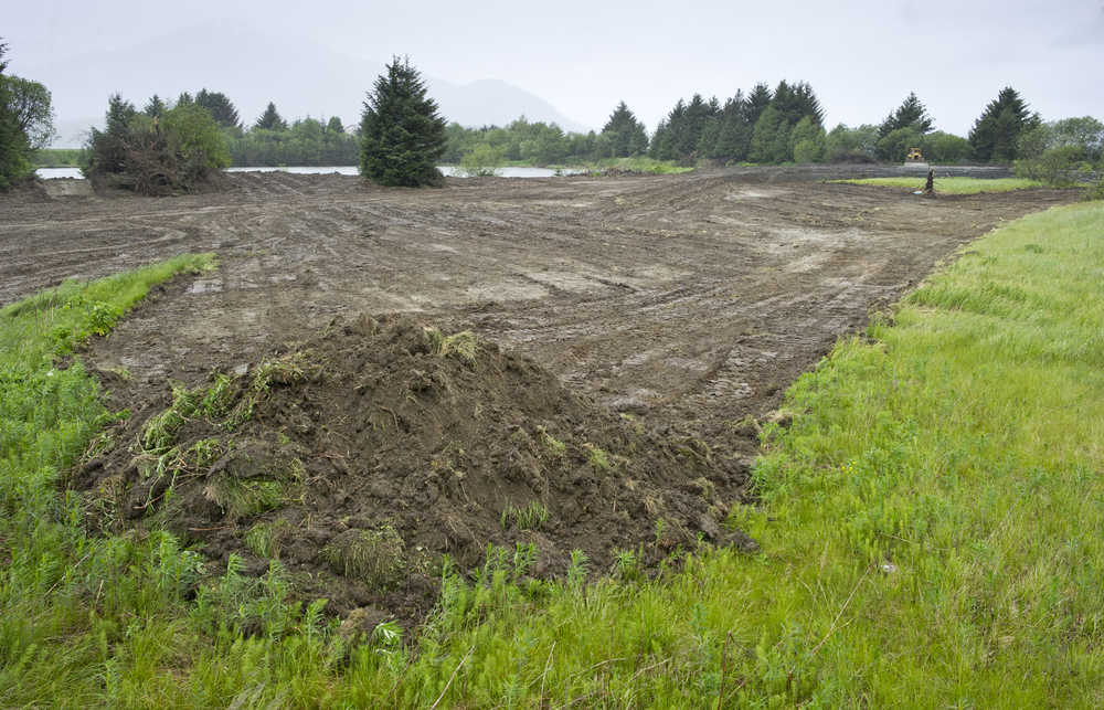 The field between Egan Drive and the Juneau International Airport after it was bulldozed on Tuesday. The Assembly backed the Planning Commission's decision last summer not to rezone the famed "Field of Fireweed" per Bicknell Inc.'s request.