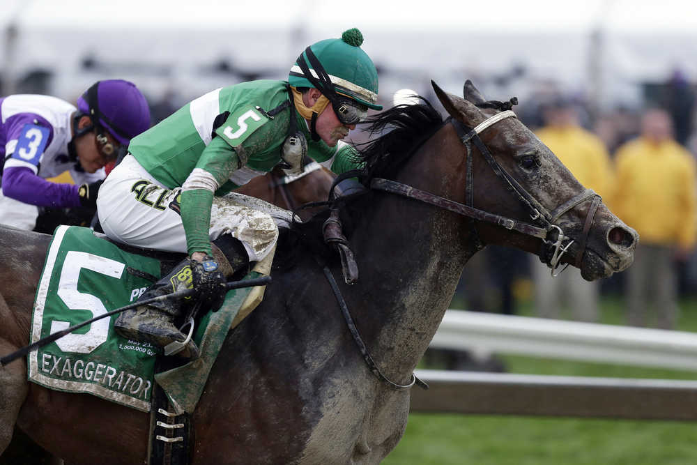 FILE - In this May 21, 2016, file photo, Exaggerator (5), with Kent Desormeaux up, moves past Nyquist, ridden by Mario Gutierrez, on the way to winning the 141st Preakness Stakes horse race at Pimlico Race Course in Baltimore.   Exaggerator has been made the 9-5 favorite in a field of 13 for Saturday's $1.5 million Belmont Stakes (AP Photo/Garry Jones, File)