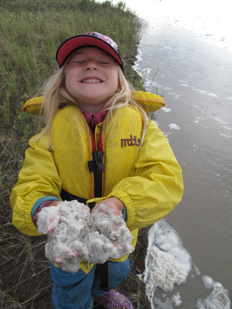 A girl examines foam floating on the Tanana River.