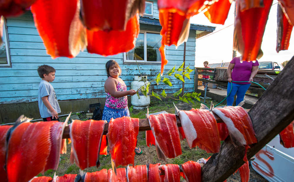 Ella Mooney takes over for her mother Jen and protects sockeye salmon from bugs.