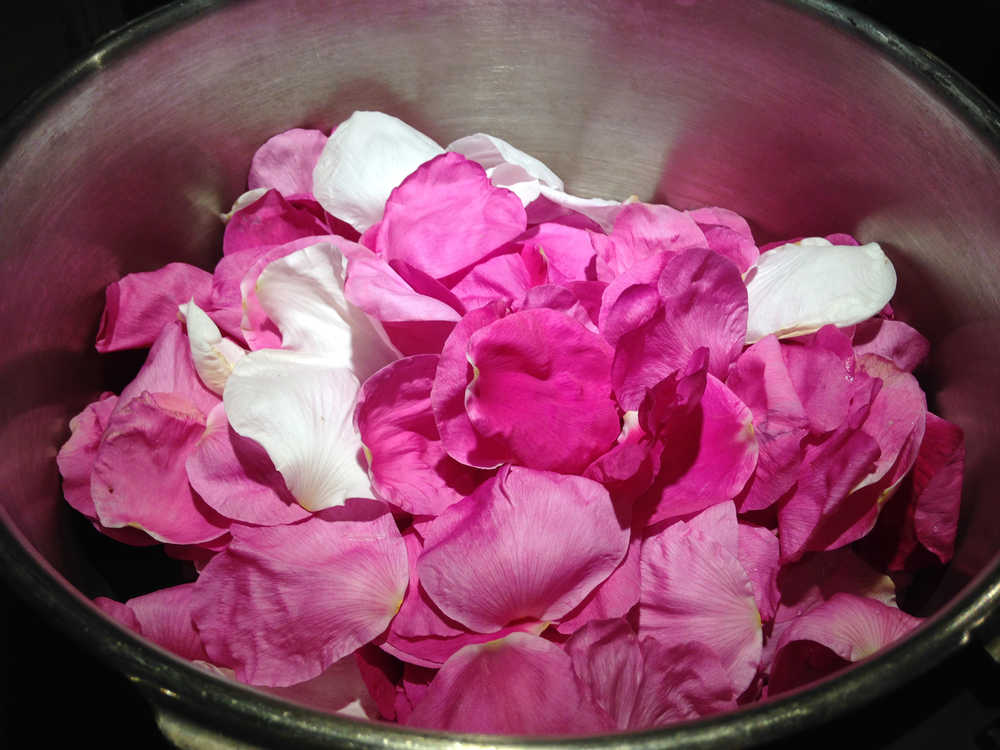 Sitka rose petals are easy to find and gather. You can use them to bring a delightfully floral taste and aroma to desserts, syrups, and stews.