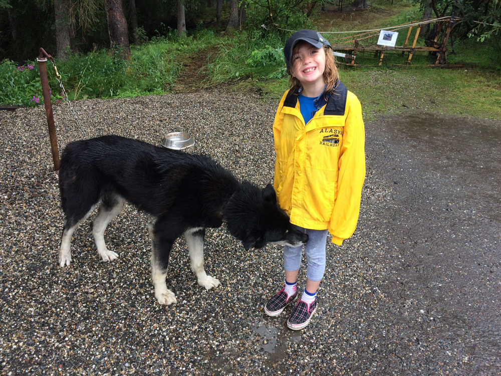 Siena Farr with a sled dog met on the Farr family Great Alaskan Staycation.