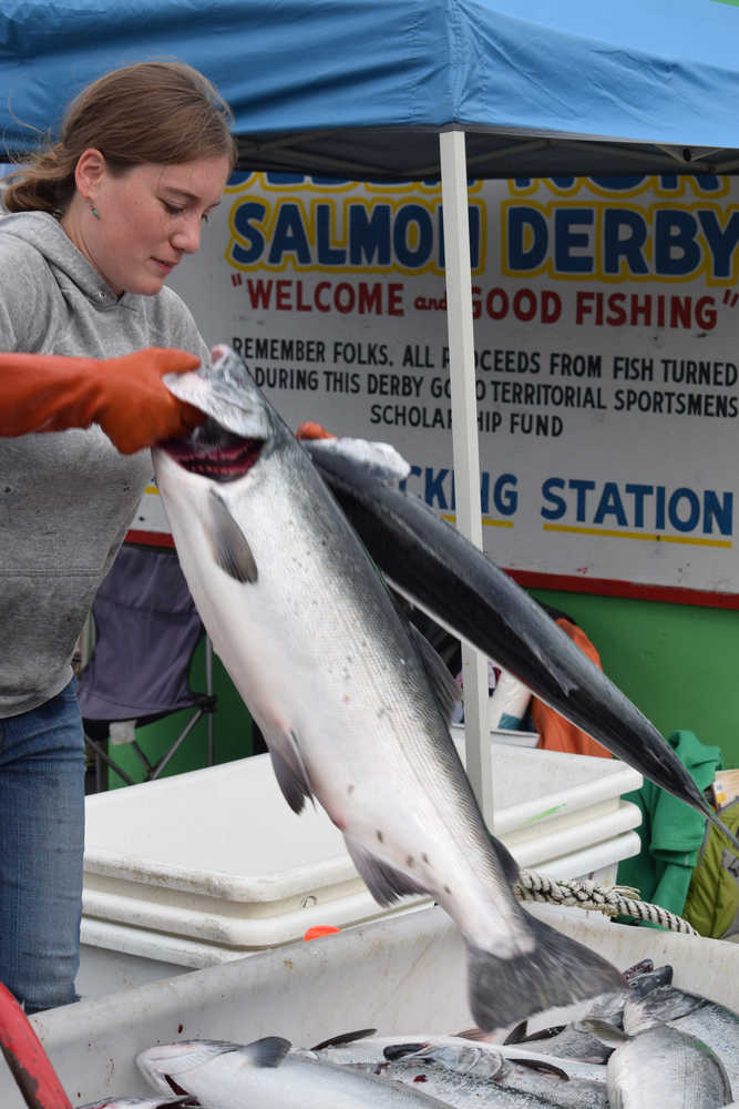 Roberta Eastwood pitches coho salmon into a tote Friday at the Auke Bay weigh station of the Territorial Sportsmen Golden North Salmon Derby.