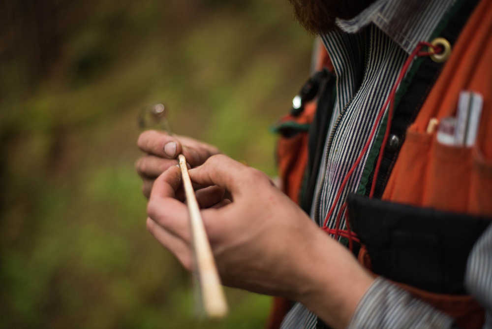 Tree core samples provide those working to inventory the Tongass with a wealth of information.